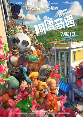 一天的摄影机