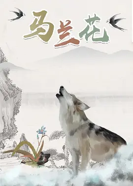 五月天婷婷导航