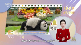 他揉捏她两乳不停呻吟在线播放